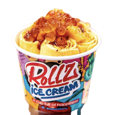 Rolled Ice Cream- Canada's Best Desserts Shop Near Me